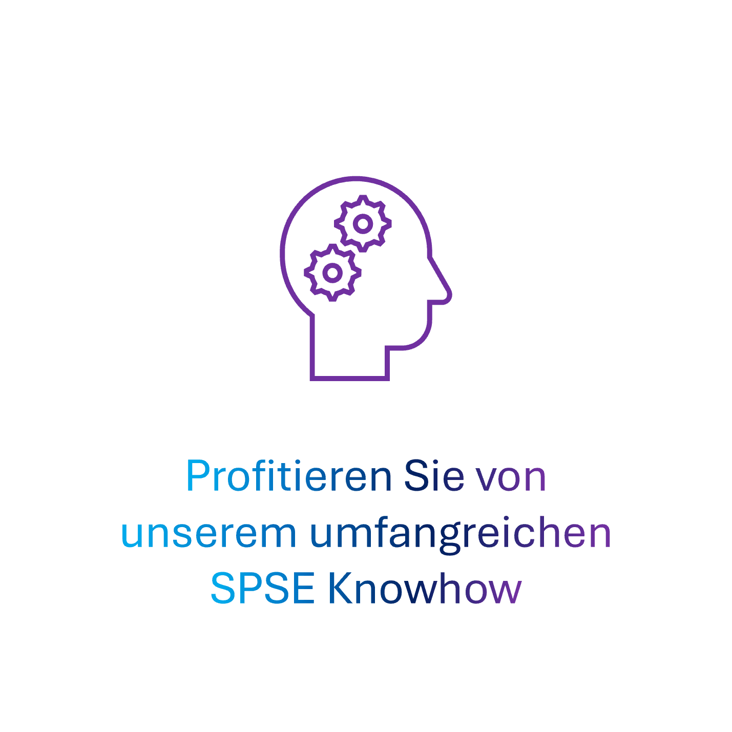 SPSE verstehen und optimal einführen